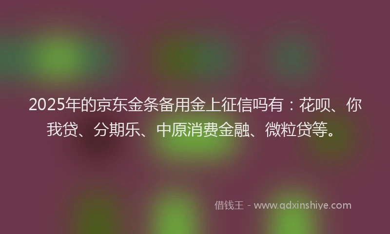 2025年的京东金条备用金上征信吗有：花呗、你我贷、分期乐、中原消费金融、微粒贷等。
