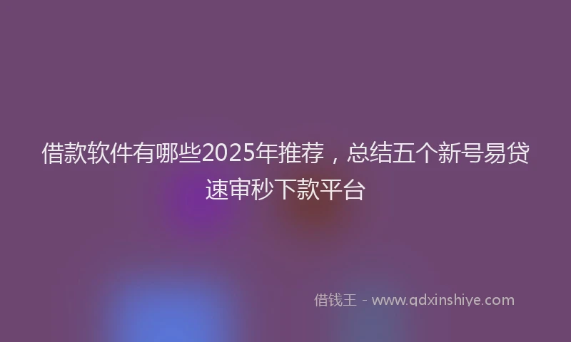 借款软件有哪些2025年推荐，总结五个新号易贷速审秒下款平台