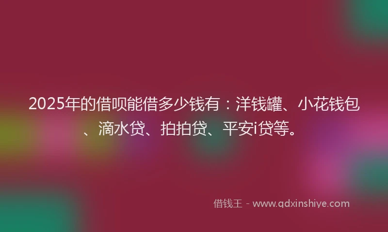 2025年的借呗能借多少钱有：洋钱罐、小花钱包、滴水贷、拍拍贷、平安i贷等。