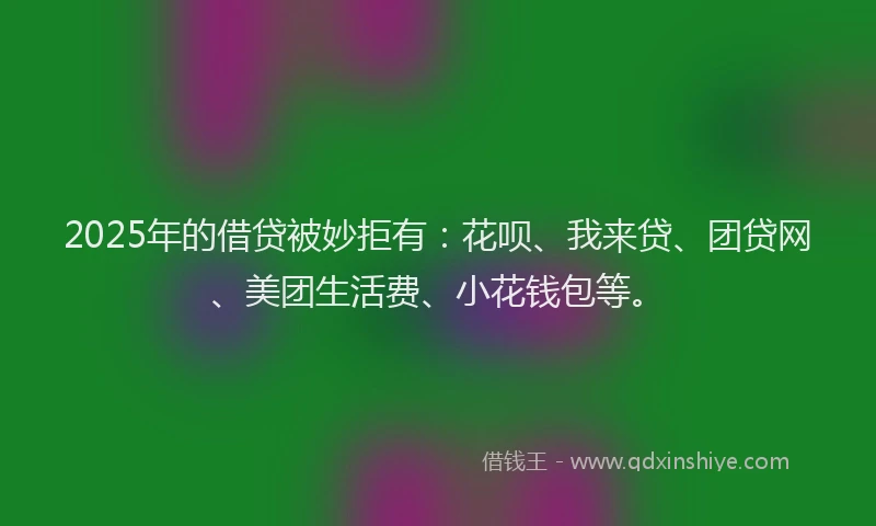 2025年的借贷被妙拒有：花呗、我来贷、团贷网、美团生活费、小花钱包等。