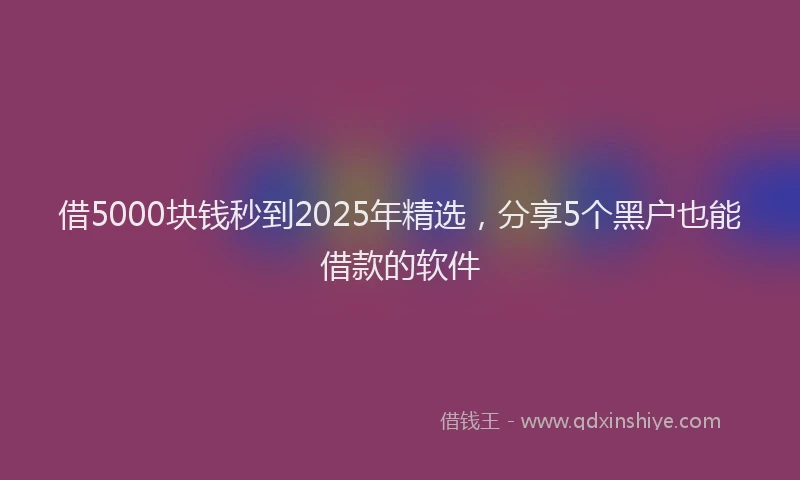 借5000块钱秒到2025年精选，分享5个黑户也能借款的软件