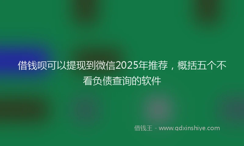 借钱呗可以提现到微信2025年推荐，概括五个不看负债查询的软件