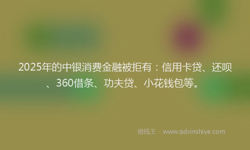 2025年的中银消费金融被拒有：信用卡贷、还呗、360借条、功夫贷、小花钱包等。
