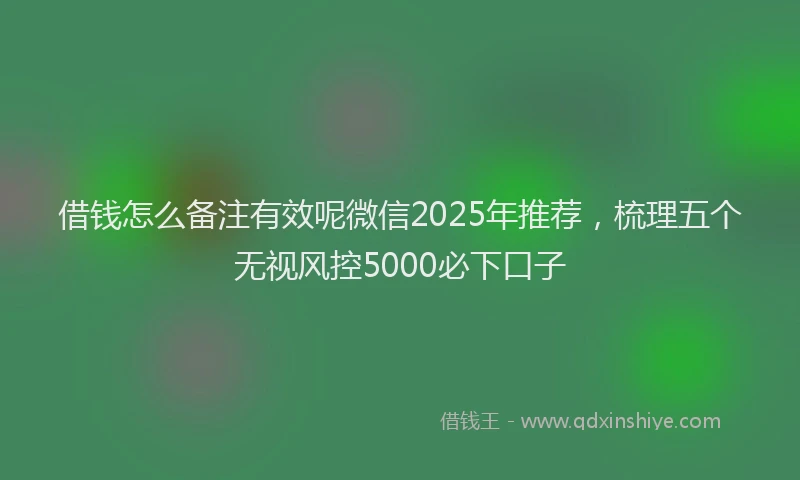 借钱怎么备注有效呢微信2025年推荐，梳理五个无视风控5000必下口子