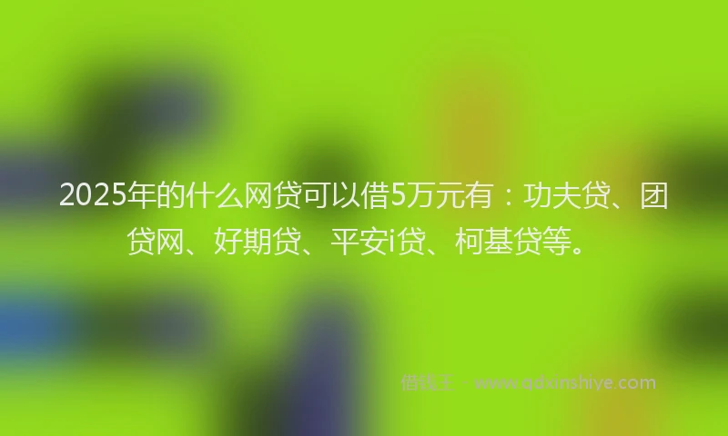 2025年的什么网贷可以借5万元有：功夫贷、团贷网、好期贷、平安i贷、柯基贷等。