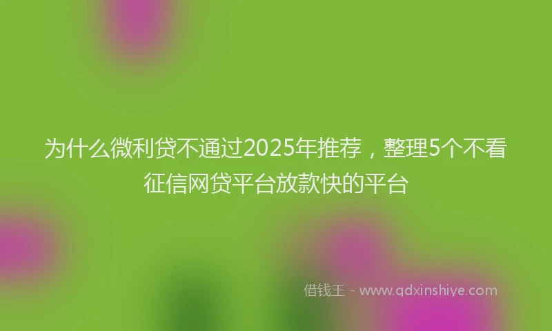 为什么微利贷不通过2025年推荐，整理5个不看征信网贷平台放款快的平台