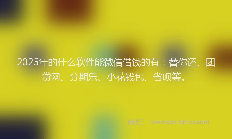 2025年的什么软件能微信借钱的有：替你还、团贷网、分期乐、小花钱包、省呗等。
