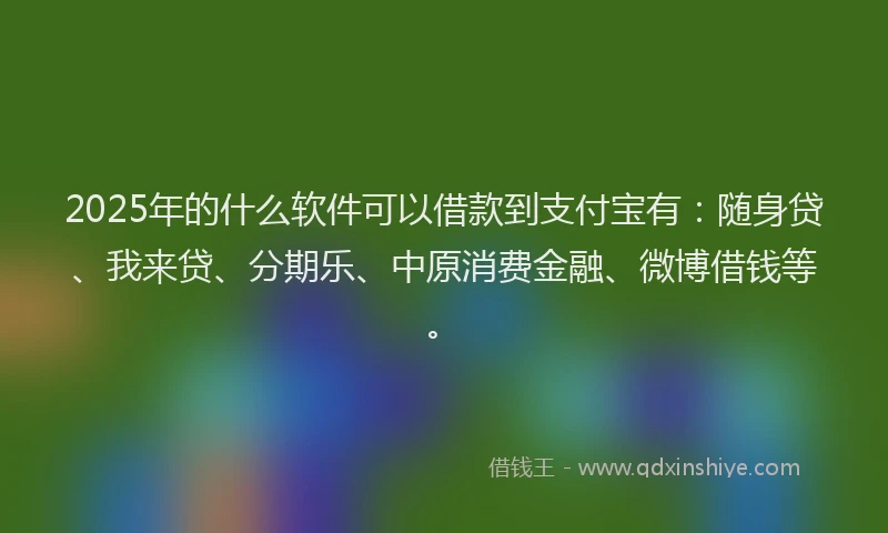 2025年的什么软件可以借款到支付宝有：随身贷、我来贷、分期乐、中原消费金融、微博借钱等。