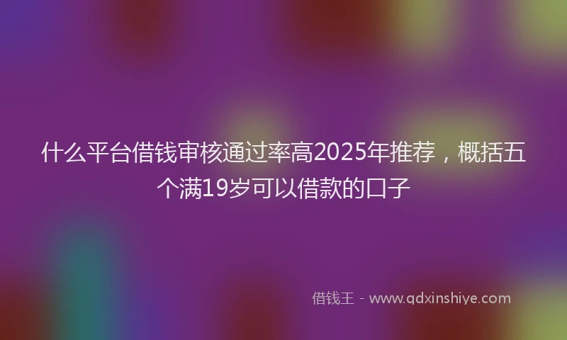 什么平台借钱审核通过率高2025年推荐，概括五个满19岁可以借款的口子