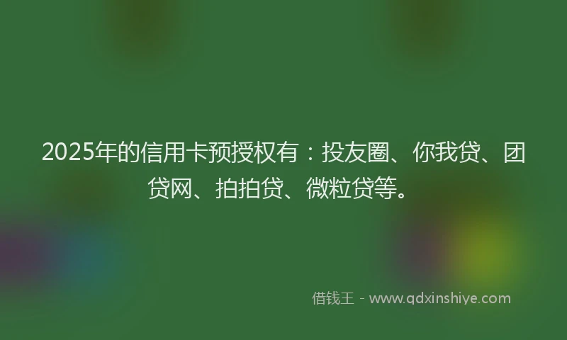 2025年的信用卡预授权有：投友圈、你我贷、团贷网、拍拍贷、微粒贷等。
