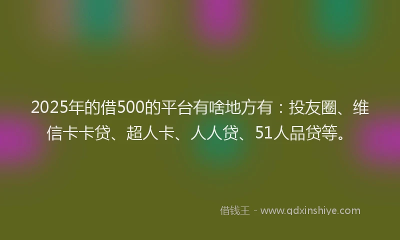 2025年的借500的平台有啥地方有：投友圈、维信卡卡贷、超人卡、人人贷、51人品贷等。