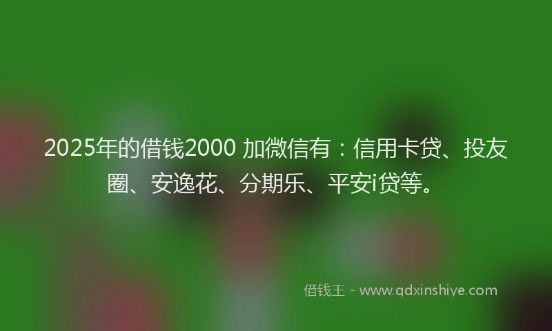 2025年的借钱2000 加微信有：信用卡贷、投友圈、安逸花、分期乐、平安i贷等。