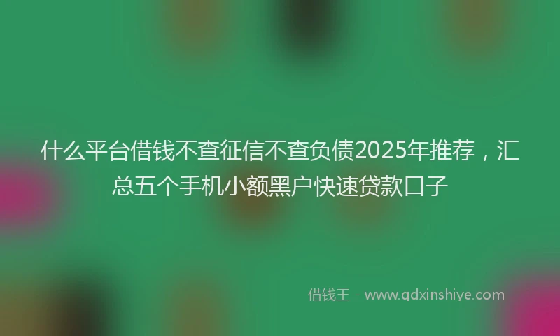 什么平台借钱不查征信不查负债2025年推荐，汇总五个手机小额黑户快速贷款口子