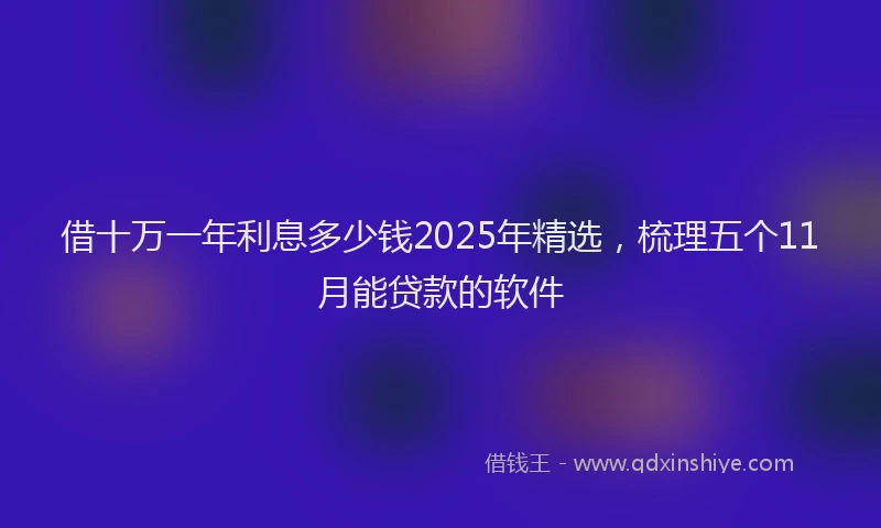 借十万一年利息多少钱2025年精选，梳理五个11月能贷款的软件