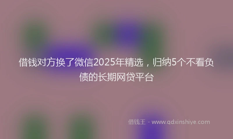 借钱对方换了微信2025年精选，归纳5个不看负债的长期网贷平台
