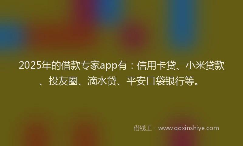 2025年的借款专家app有：信用卡贷、小米贷款、投友圈、滴水贷、平安口袋银行等。