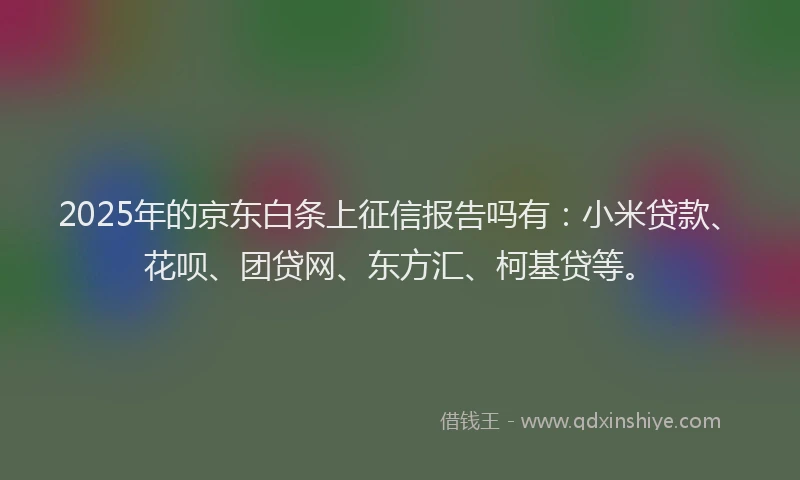 2025年的京东白条上征信报告吗有：小米贷款、花呗、团贷网、东方汇、柯基贷等。