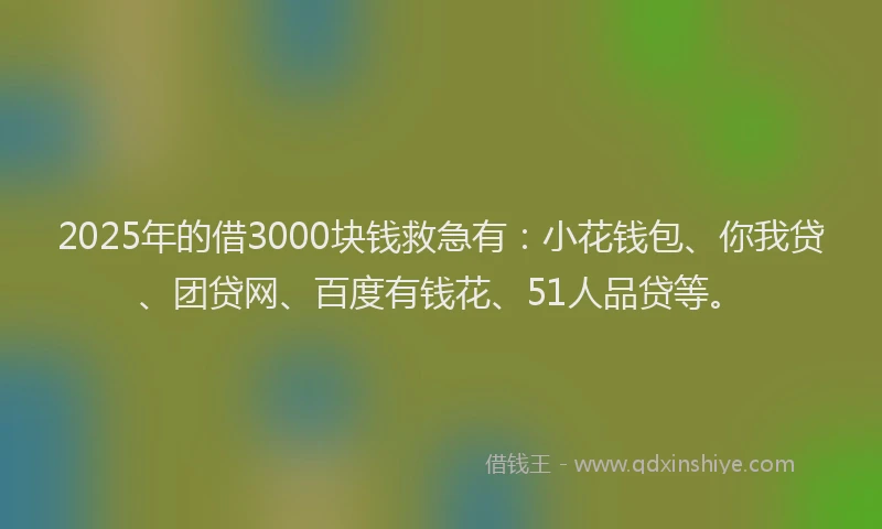 2025年的借3000块钱救急有：小花钱包、你我贷、团贷网、百度有钱花、51人品贷等。