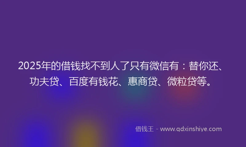 2025年的借钱找不到人了只有微信有：替你还、功夫贷、百度有钱花、惠商贷、微粒贷等。