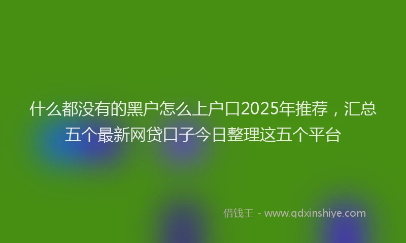 什么都没有的黑户怎么上户口2025年推荐，汇总五个最新网贷口子今日整理这五个平台