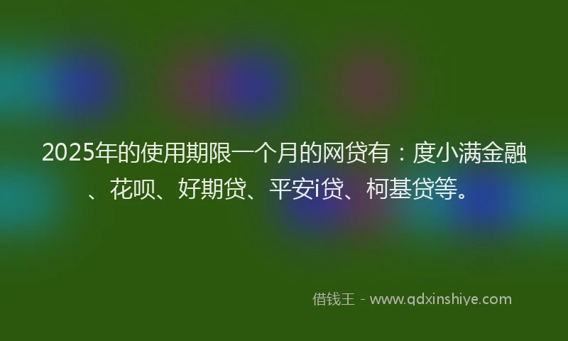 2025年的使用期限一个月的网贷有：度小满金融、花呗、好期贷、平安i贷、柯基贷等。