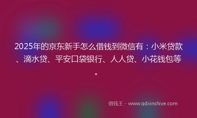 2025年的京东新手怎么借钱到微信有：小米贷款、滴水贷、平安口袋银行、人人贷、小花钱包等。