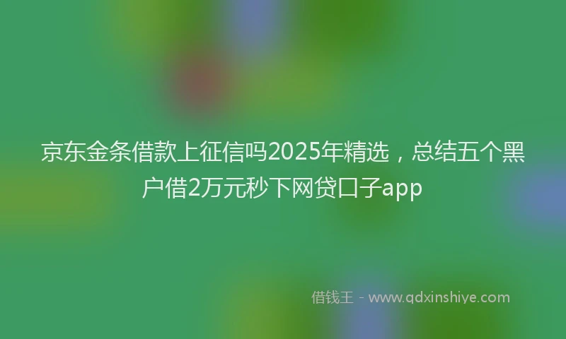 京东金条借款上征信吗2025年精选，总结五个黑户借2万元秒下网贷口子app
