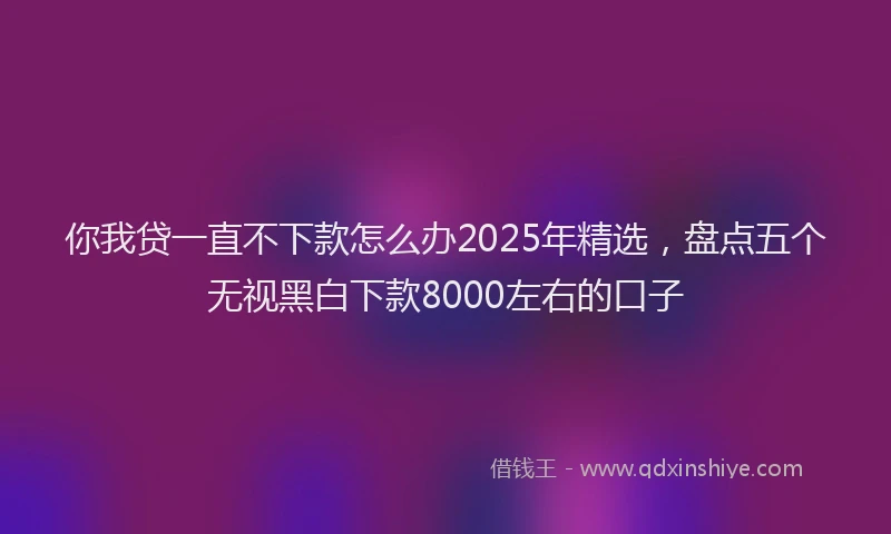 你我贷一直不下款怎么办2025年精选，盘点五个无视黑白下款8000左右的口子