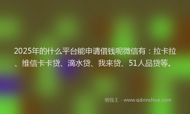 2025年的什么平台能申请借钱呢微信有：拉卡拉、维信卡卡贷、滴水贷、我来贷、51人品贷等。