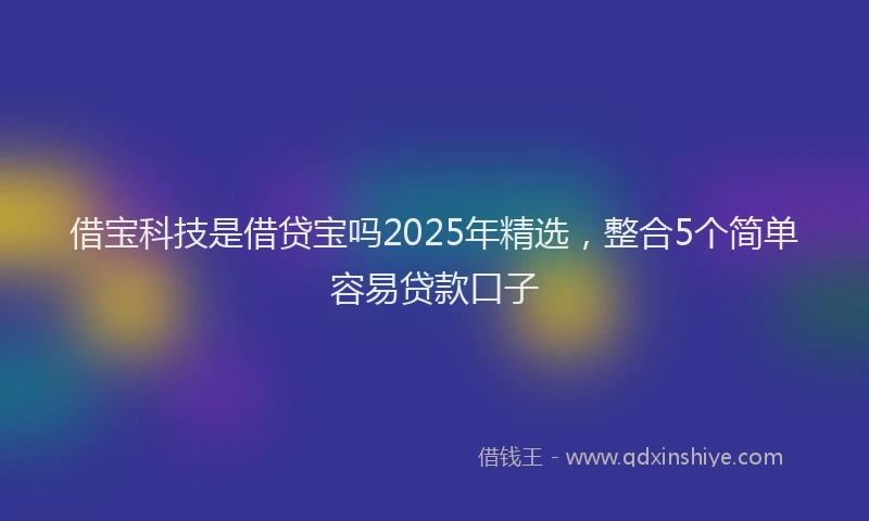 借宝科技是借贷宝吗2025年精选，整合5个简单容易贷款口子