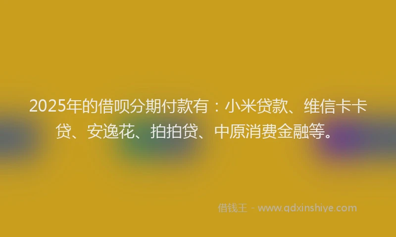 2025年的借呗分期付款有：小米贷款、维信卡卡贷、安逸花、拍拍贷、中原消费金融等。