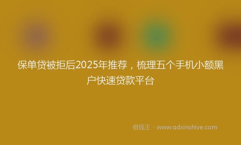 保单贷被拒后2025年推荐，梳理五个手机小额黑户快速贷款平台