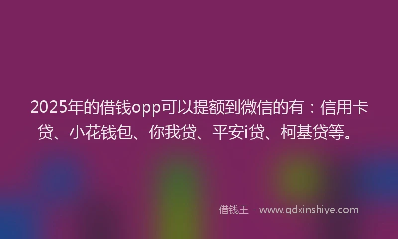 2025年的借钱opp可以提额到微信的有：信用卡贷、小花钱包、你我贷、平安i贷、柯基贷等。