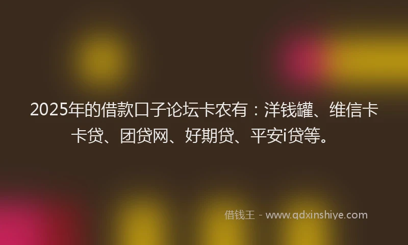 2025年的借款口子论坛卡农有：洋钱罐、维信卡卡贷、团贷网、好期贷、平安i贷等。