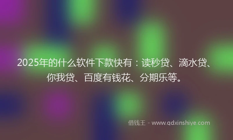 2025年的什么软件下款快有：读秒贷、滴水贷、你我贷、百度有钱花、分期乐等。