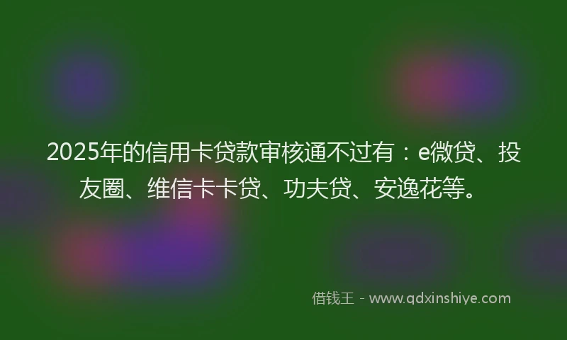 2025年的信用卡贷款审核通不过有：e微贷、投友圈、维信卡卡贷、功夫贷、安逸花等。