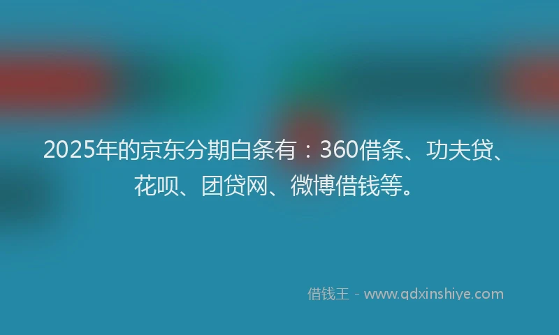 2025年的京东分期白条有：360借条、功夫贷、花呗、团贷网、微博借钱等。