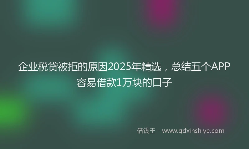 企业税贷被拒的原因2025年精选，总结五个APP容易借款1万块的口子