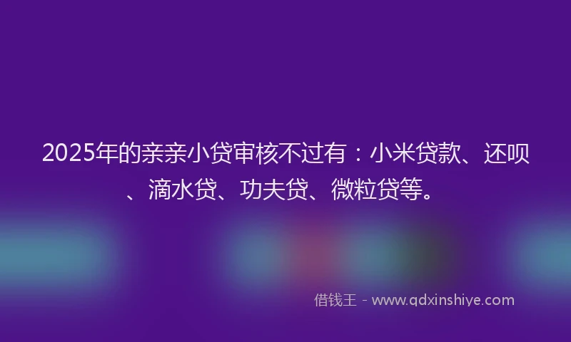 2025年的亲亲小贷审核不过有：小米贷款、还呗、滴水贷、功夫贷、微粒贷等。