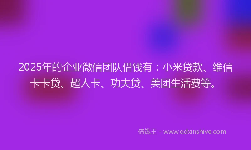 2025年的企业微信团队借钱有：小米贷款、维信卡卡贷、超人卡、功夫贷、美团生活费等。