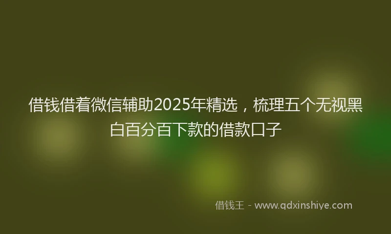 借钱借着微信辅助2025年精选，梳理五个无视黑白百分百下款的借款口子