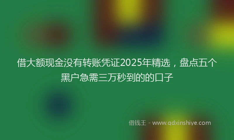 借大额现金没有转账凭证2025年精选，盘点五个黑户急需三万秒到的的口子