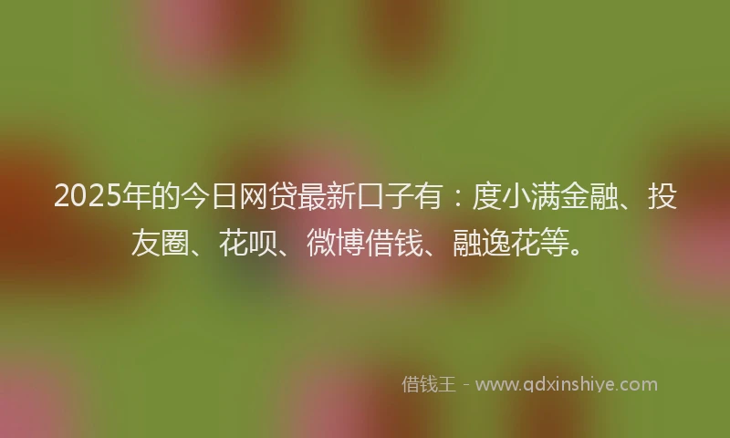 2025年的今日网贷最新口子有：度小满金融、投友圈、花呗、微博借钱、融逸花等。
