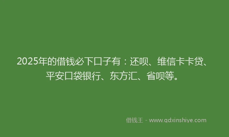 2025年的借钱必下口子有：还呗、维信卡卡贷、平安口袋银行、东方汇、省呗等。