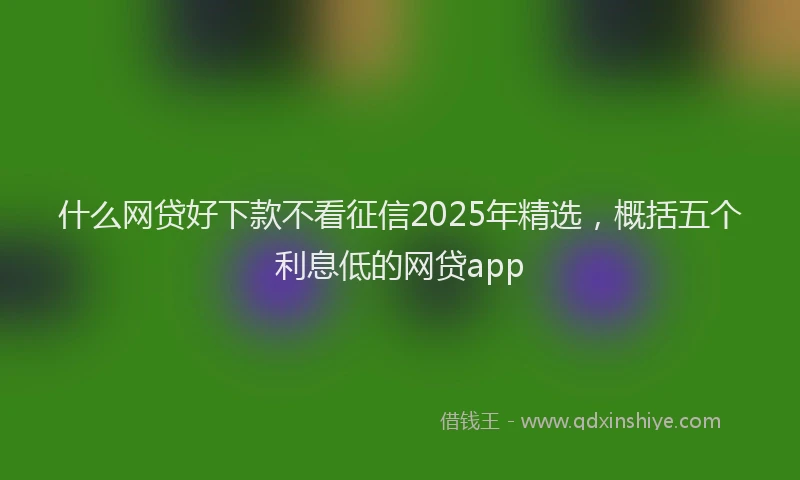 什么网贷好下款不看征信2025年精选，概括五个利息低的网贷app