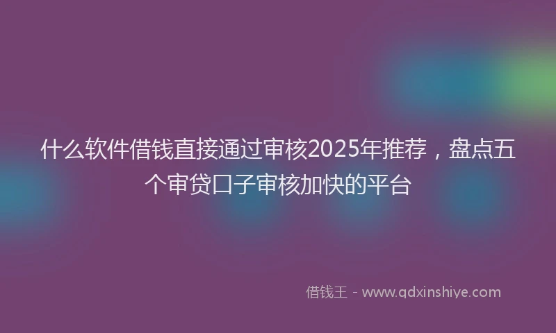 什么软件借钱直接通过审核2025年推荐，盘点五个审贷口子审核加快的平台
