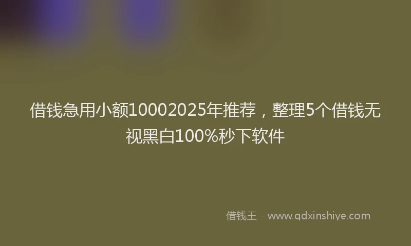 借钱急用小额10002025年推荐，整理5个借钱无视黑白100%秒下软件