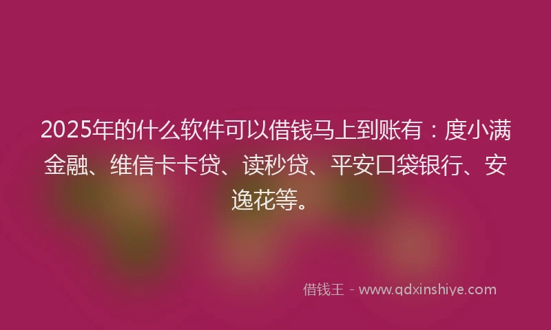2025年的什么软件可以借钱马上到账有：度小满金融、维信卡卡贷、读秒贷、平安口袋银行、安逸花等。