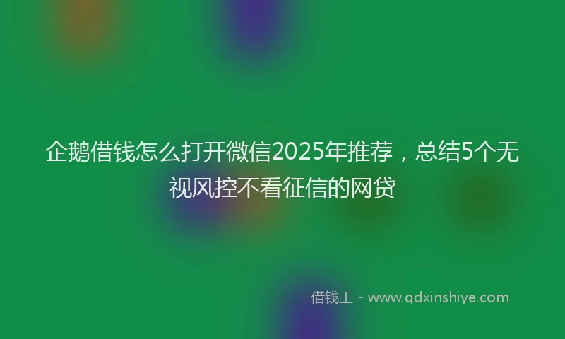 企鹅借钱怎么打开微信2025年推荐，总结5个无视风控不看征信的网贷