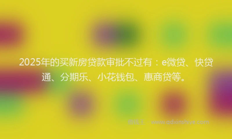 2025年的买新房贷款审批不过有：e微贷、快贷通、分期乐、小花钱包、惠商贷等。